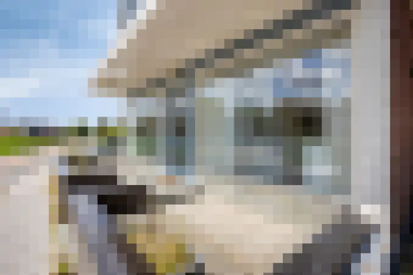 Demmerik 70 A Vinkeveen thumbnail 23