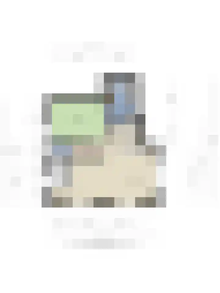 Demmerik 72 Vinkeveen thumbnail 17