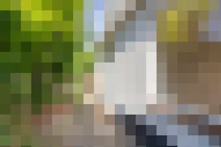 Demmerik 72 Vinkeveen thumbnail 9