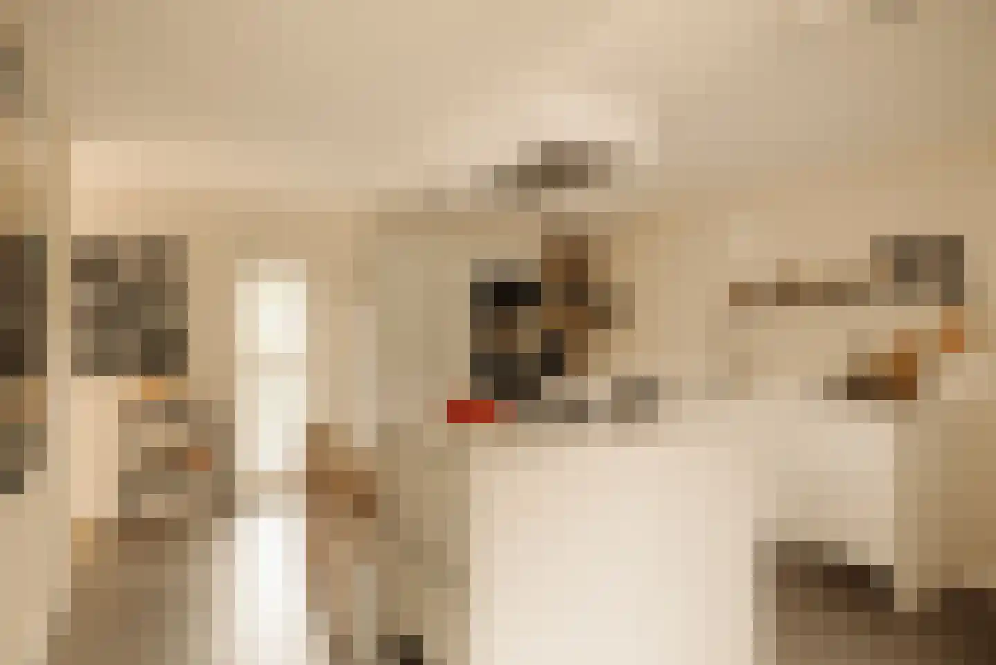 Demmerik 90 Vinkeveen thumbnail 10