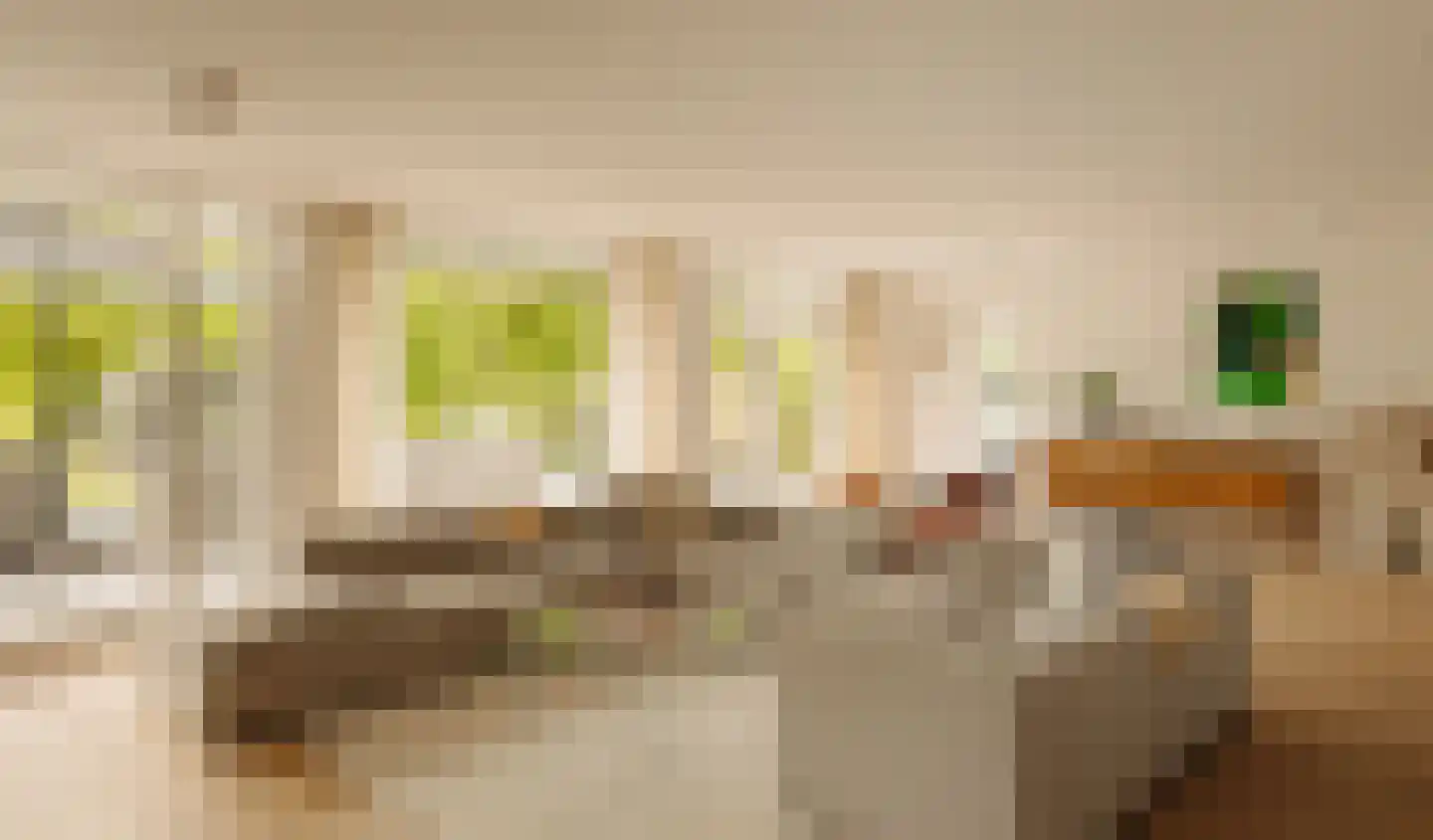 Demmerik 90 Vinkeveen thumbnail 12