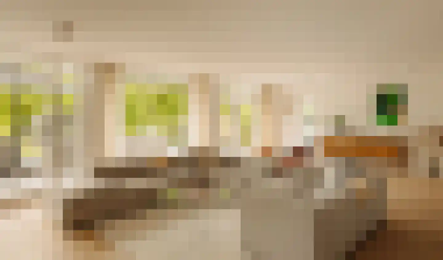 Demmerik 90 Vinkeveen thumbnail 13
