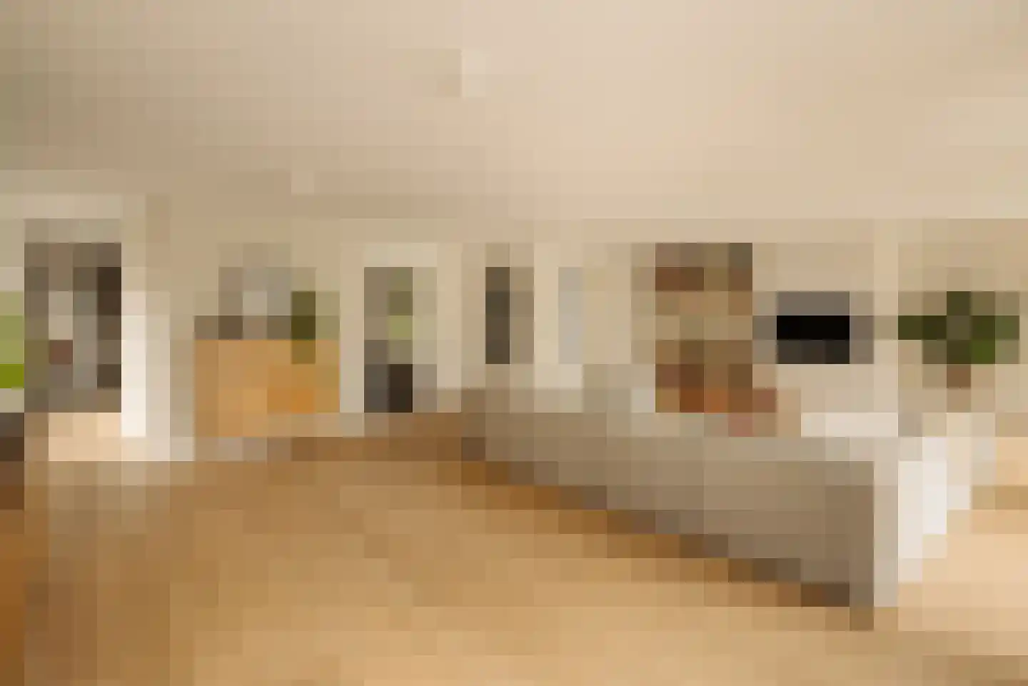 Demmerik 90 Vinkeveen thumbnail 17