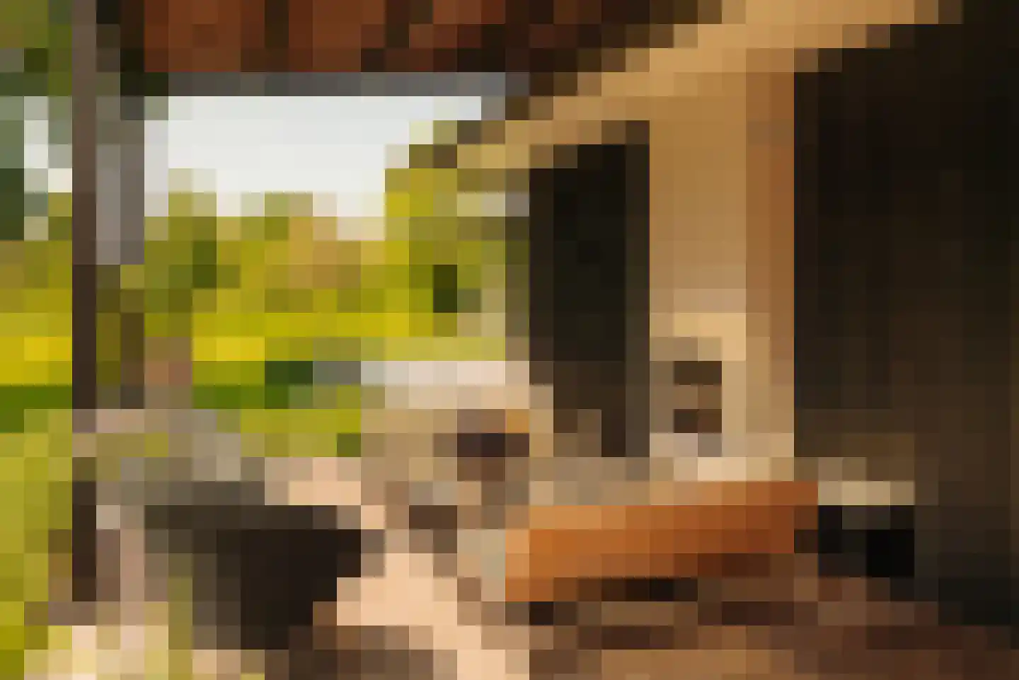 Demmerik 90 Vinkeveen thumbnail 21