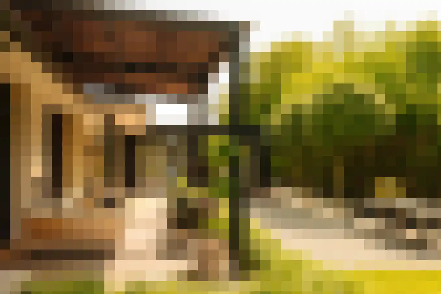 Demmerik 90 Vinkeveen thumbnail 22