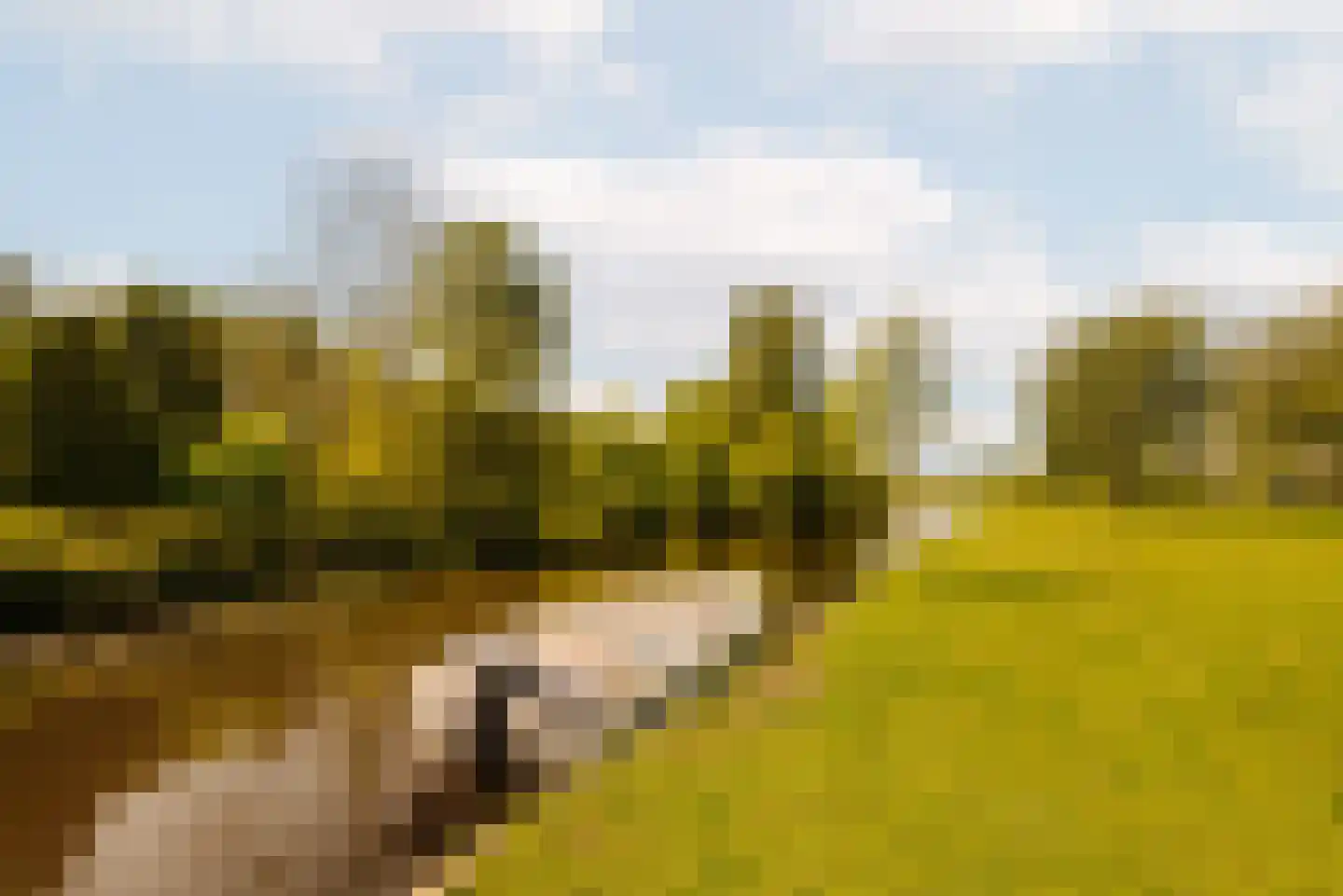Demmerik 90 Vinkeveen thumbnail 23