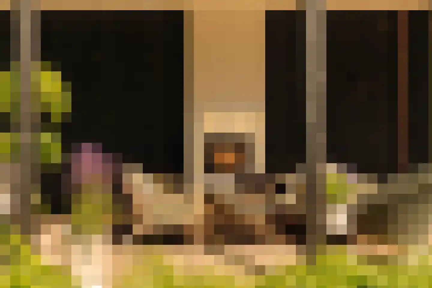 Demmerik 90 Vinkeveen thumbnail 26