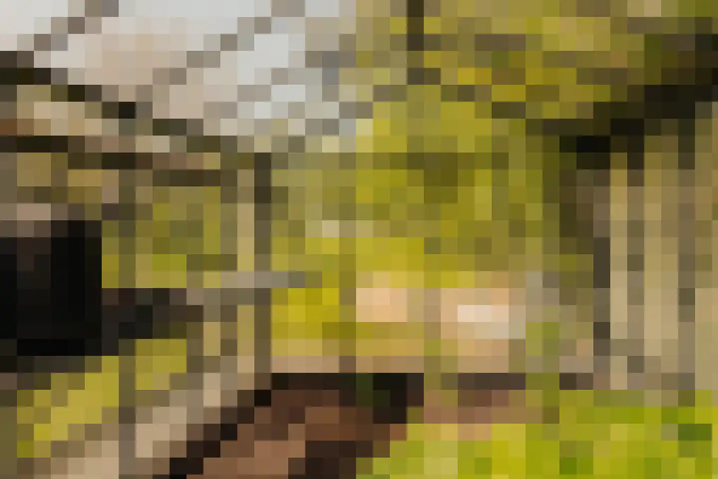 Demmerik 90 Vinkeveen thumbnail 30