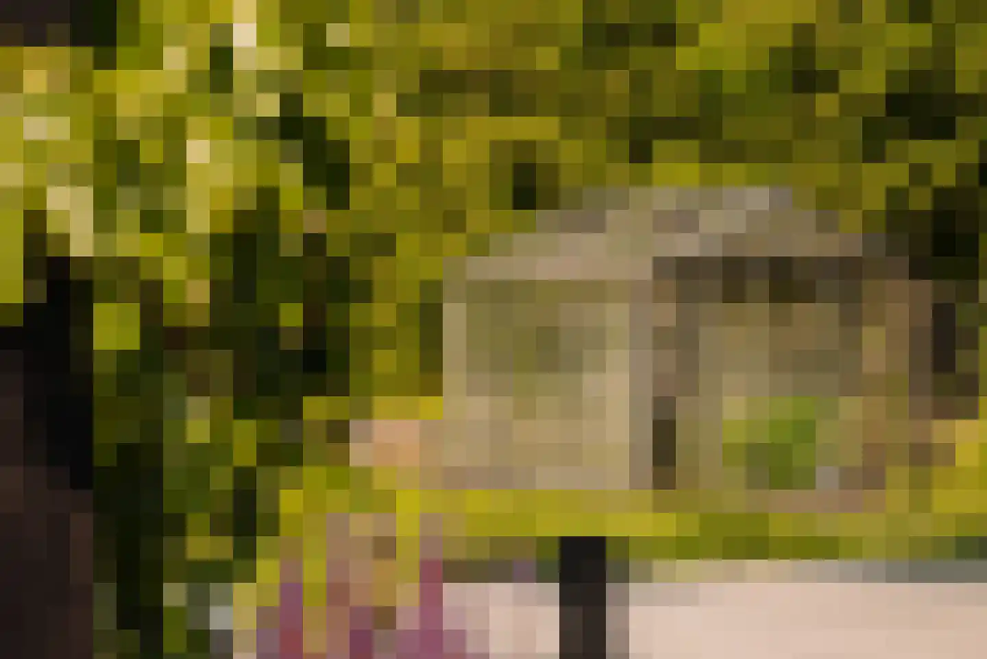 Demmerik 90 Vinkeveen thumbnail 31