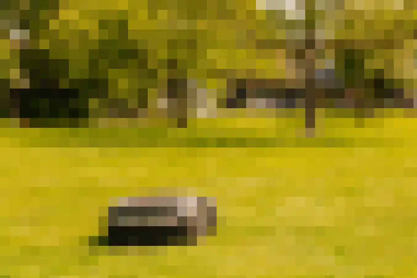 Demmerik 90 Vinkeveen thumbnail 32