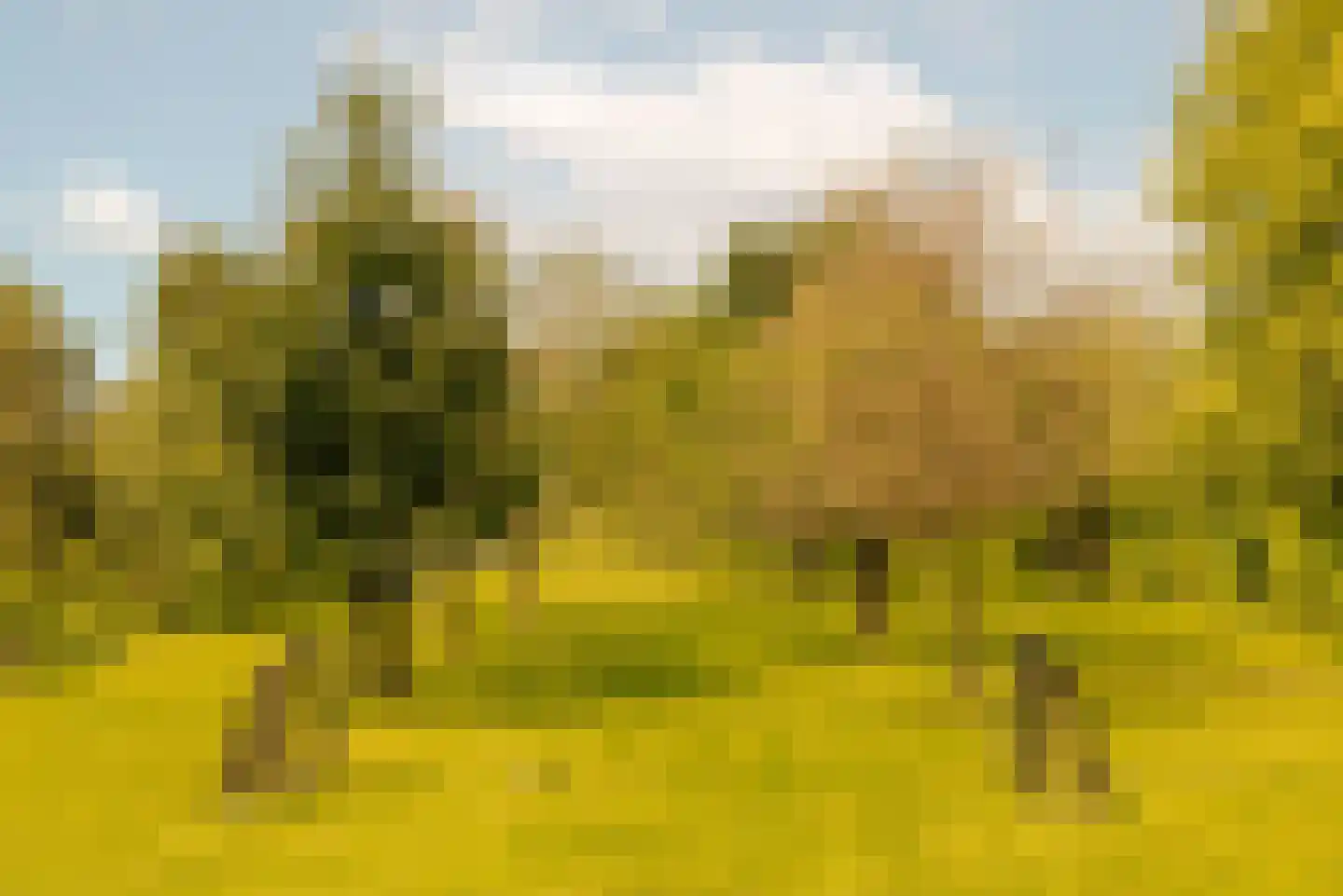 Demmerik 90 Vinkeveen thumbnail 33