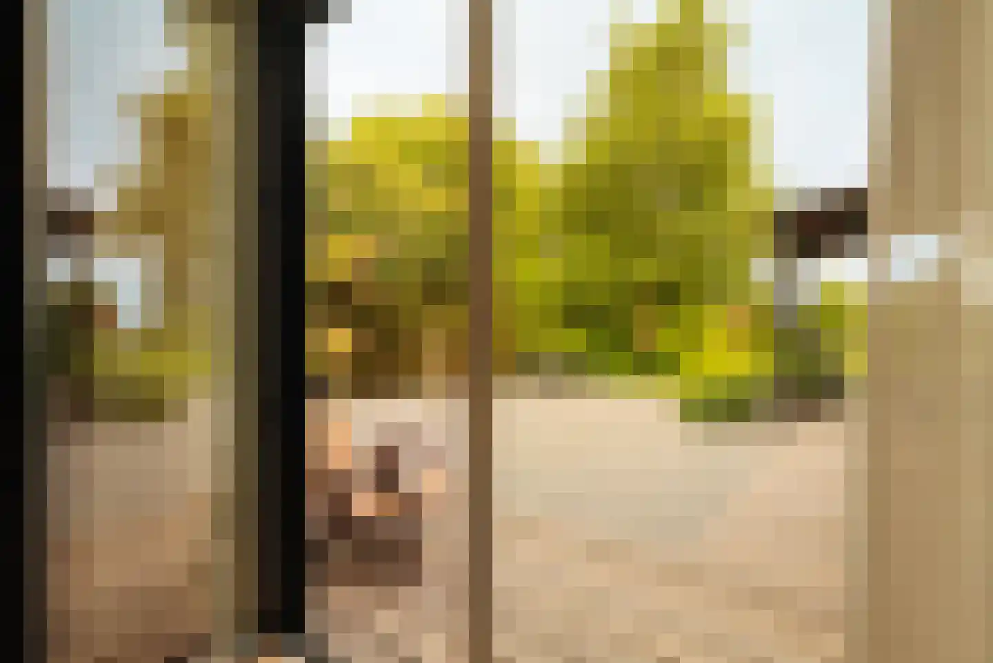Demmerik 90 Vinkeveen thumbnail 34