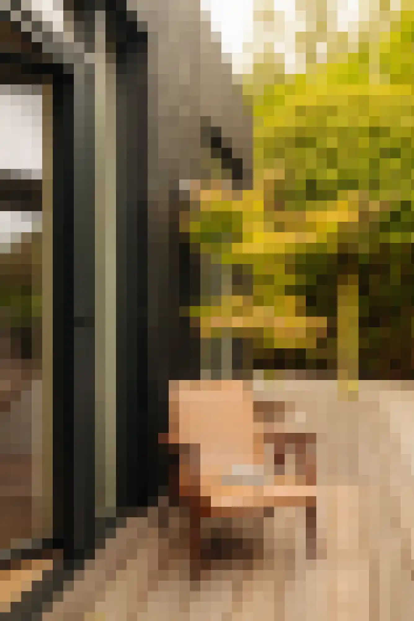 Demmerik 90 Vinkeveen thumbnail 35