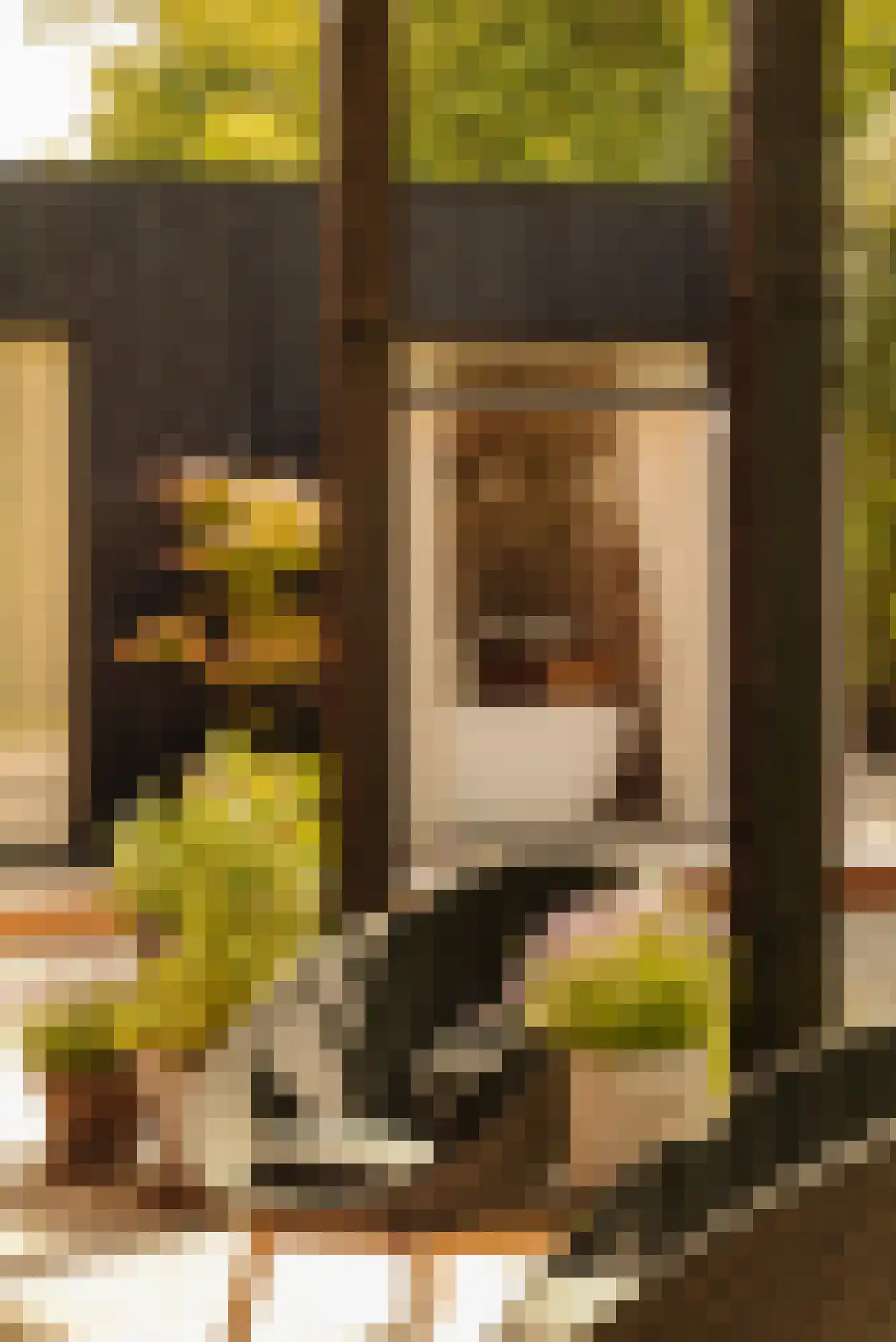 Demmerik 90 Vinkeveen thumbnail 36