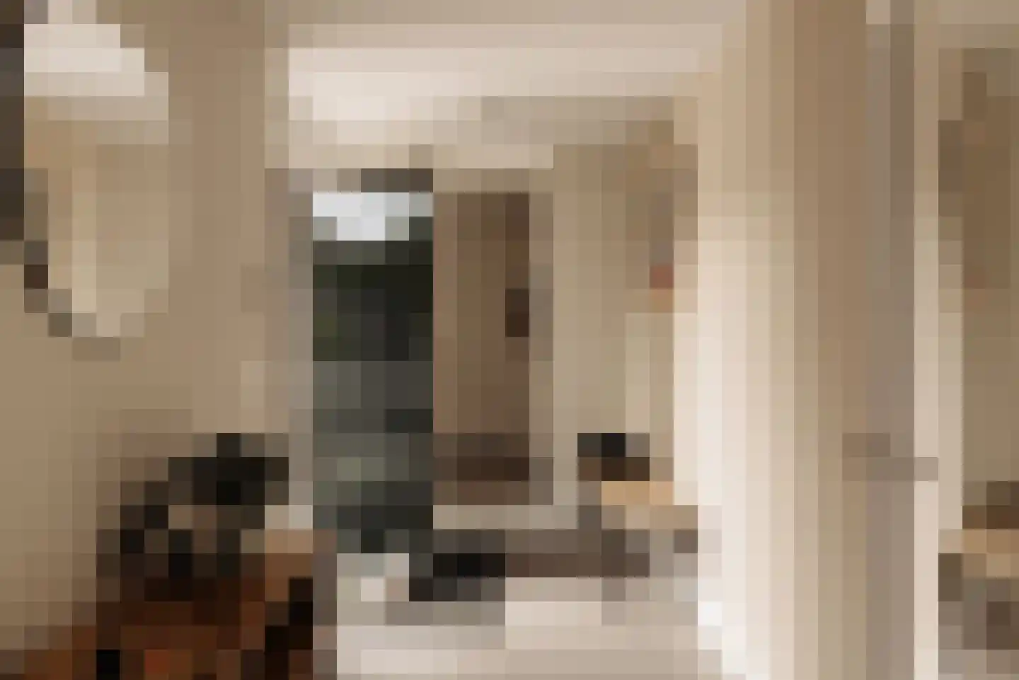 Demmerik 90 Vinkeveen thumbnail 37