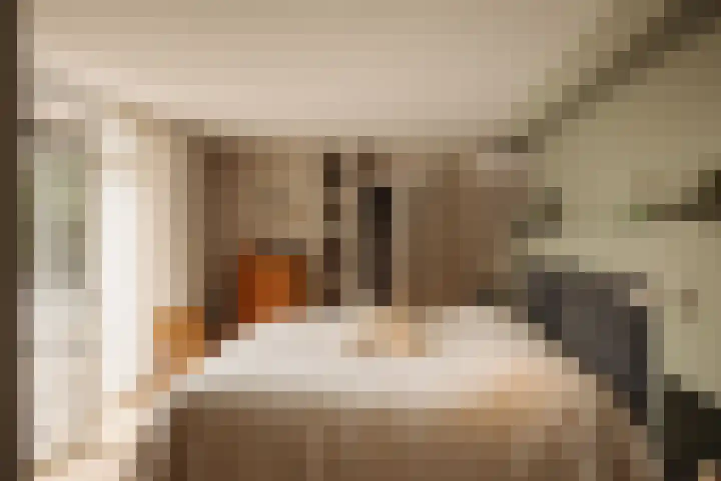 Demmerik 90 Vinkeveen thumbnail 39
