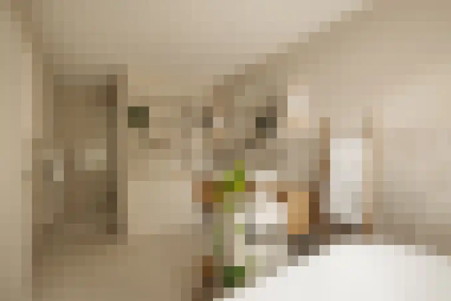 Demmerik 90 Vinkeveen thumbnail 42