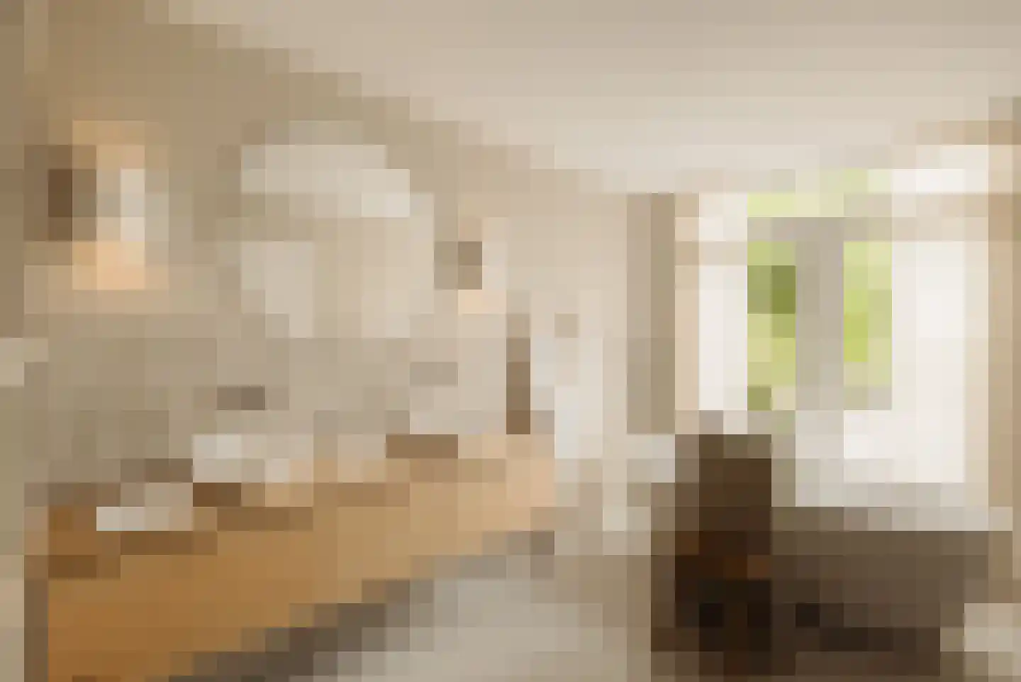 Demmerik 90 Vinkeveen thumbnail 42
