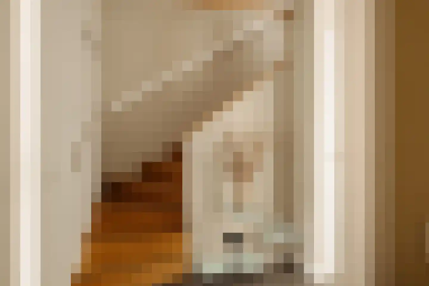 Demmerik 90 Vinkeveen thumbnail 48