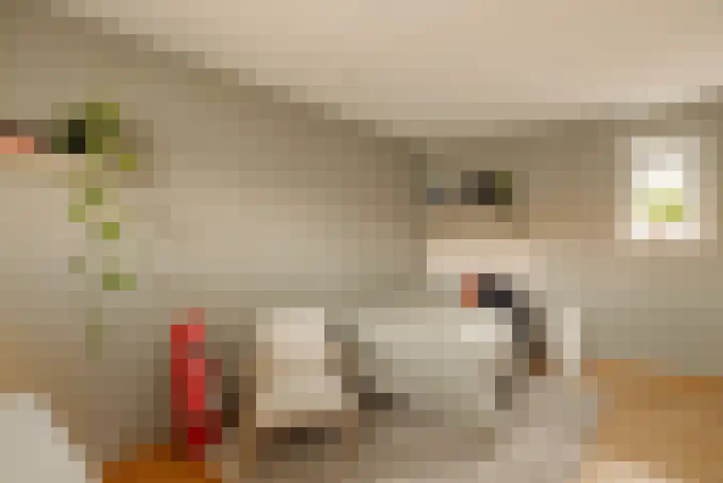 Demmerik 90 Vinkeveen thumbnail 51
