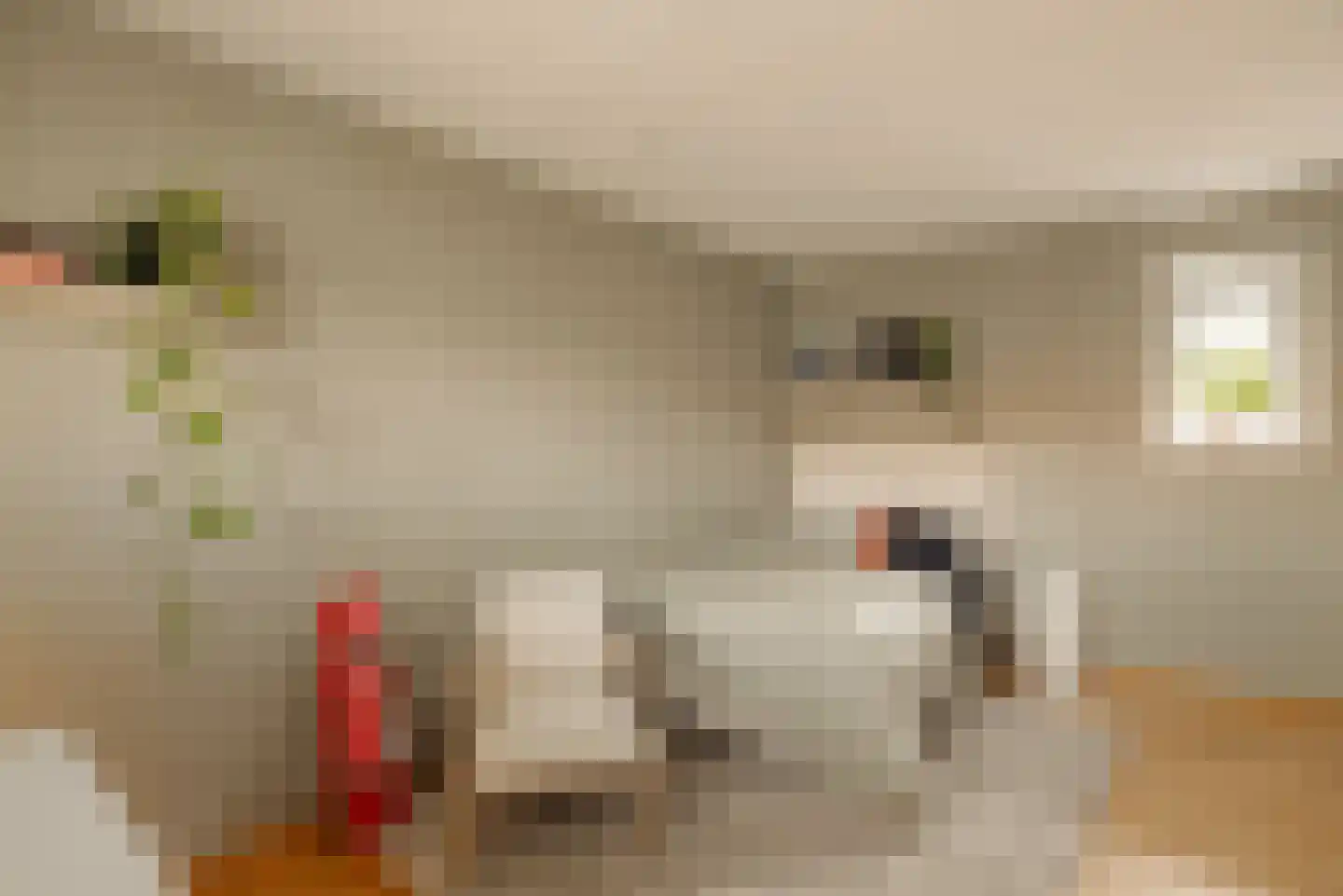 Demmerik 90 Vinkeveen thumbnail 52