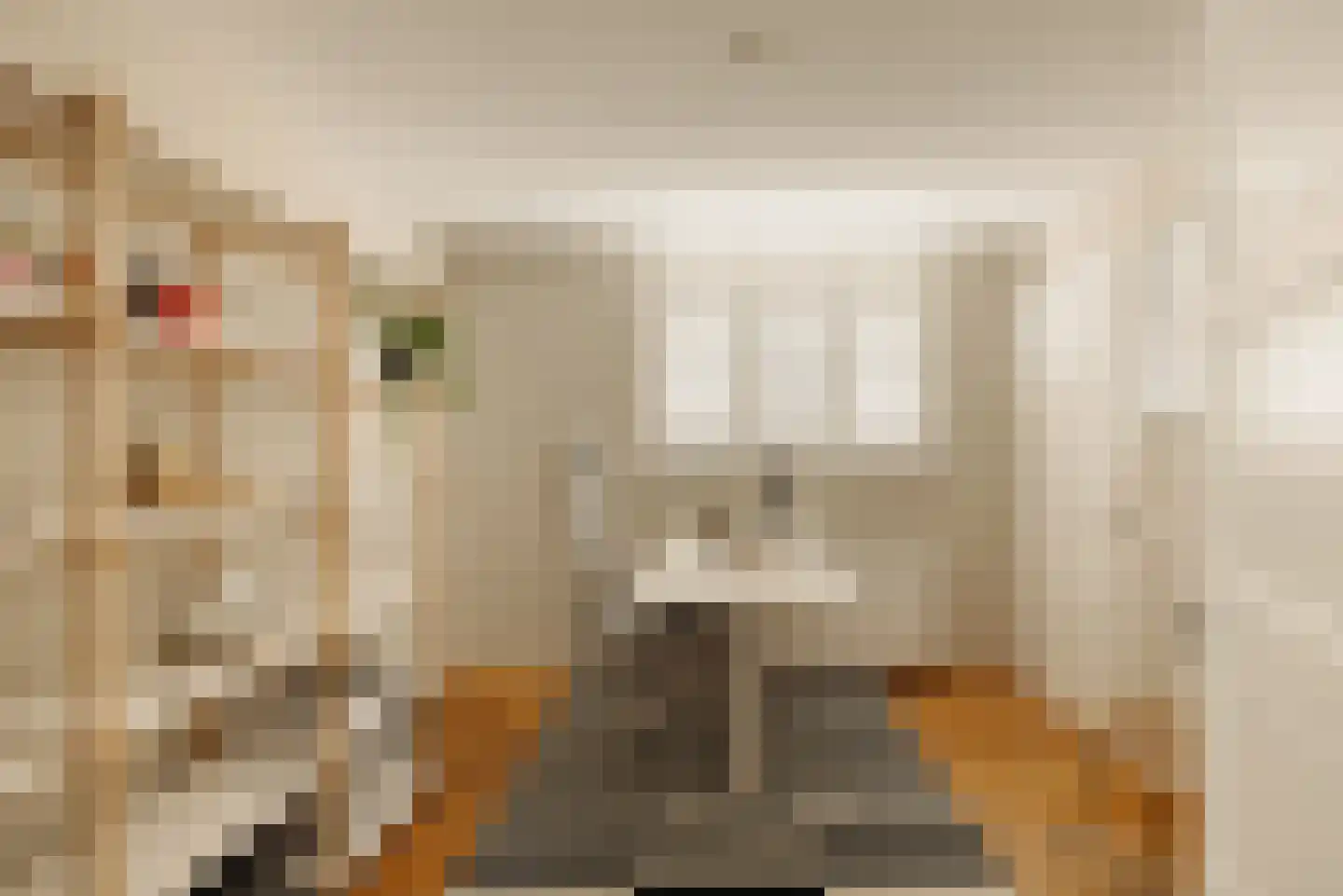 Demmerik 90 Vinkeveen thumbnail 58