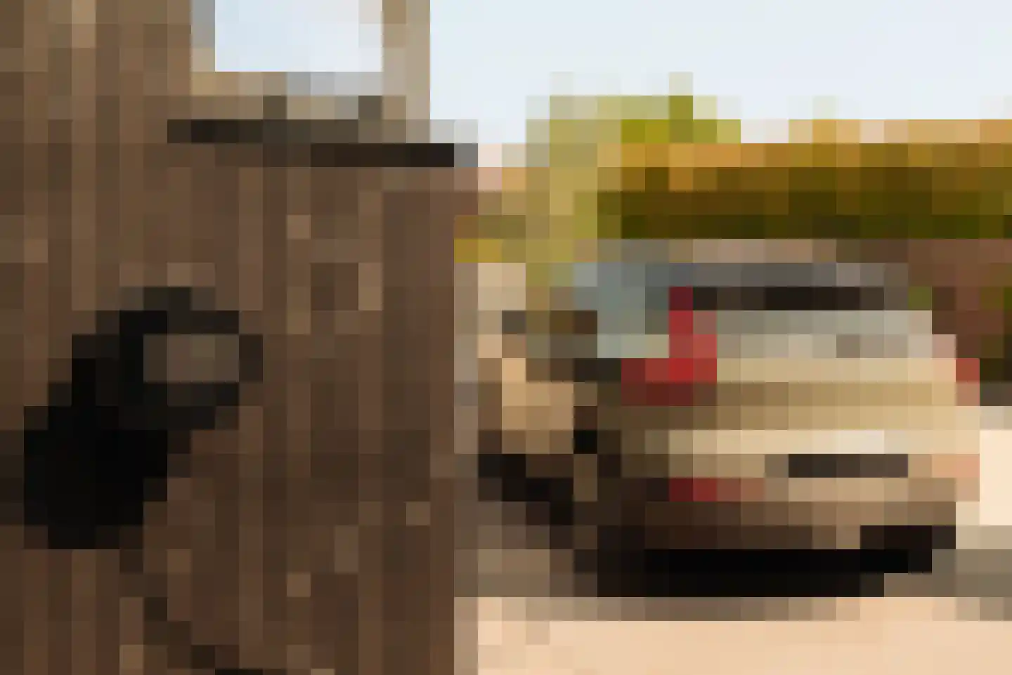 Demmerik 90 Vinkeveen thumbnail 61
