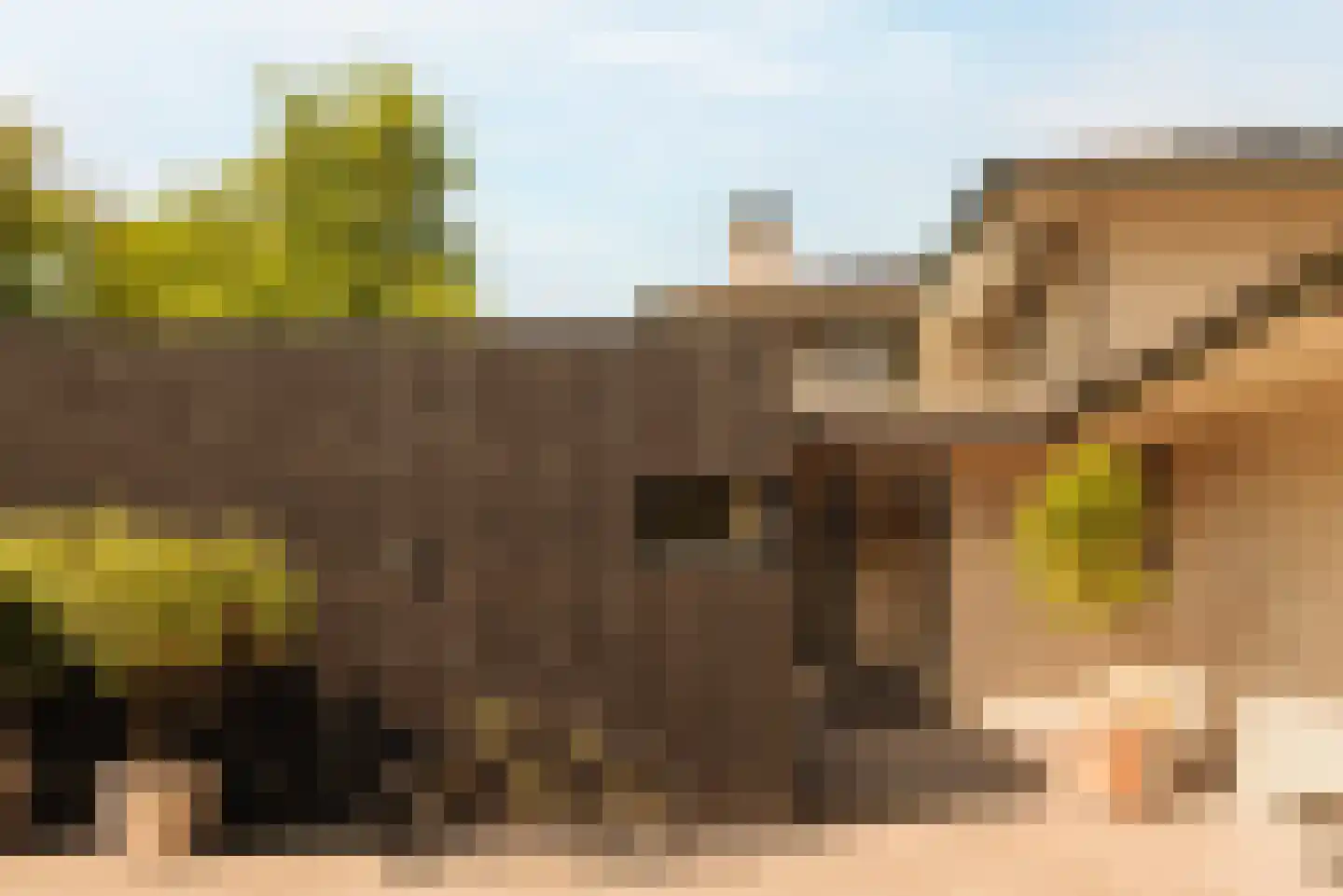 Demmerik 90 Vinkeveen thumbnail 62