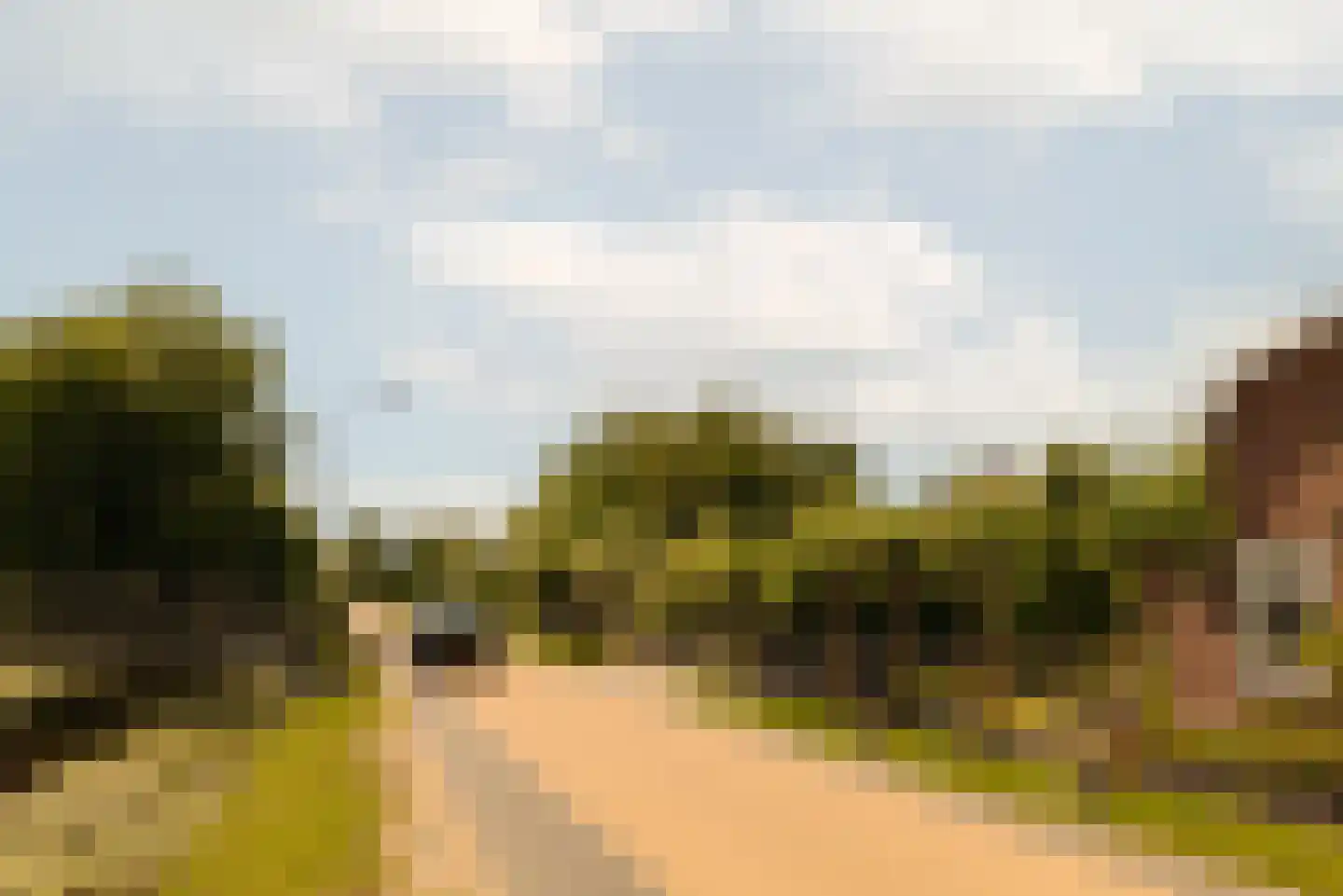 Demmerik 90 Vinkeveen thumbnail 64