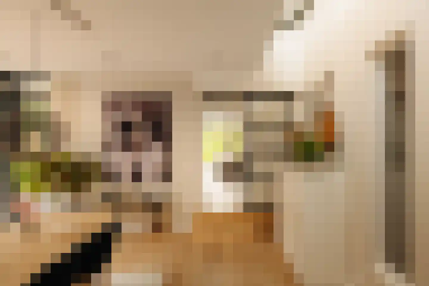 Demmerik 90 Vinkeveen thumbnail 7