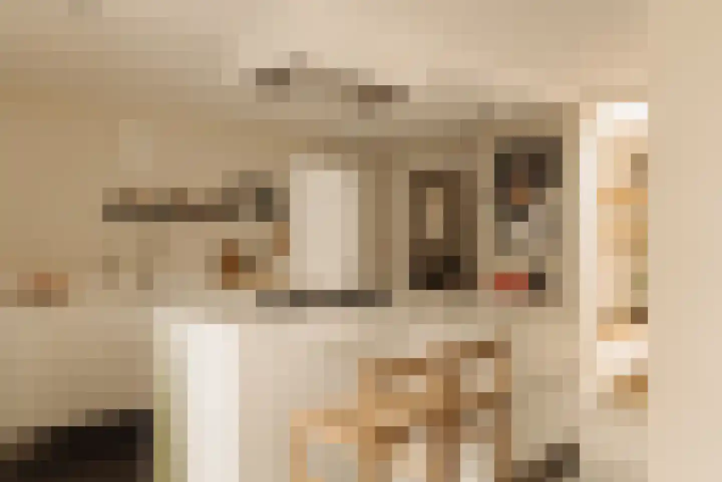 Demmerik 90 Vinkeveen thumbnail 9