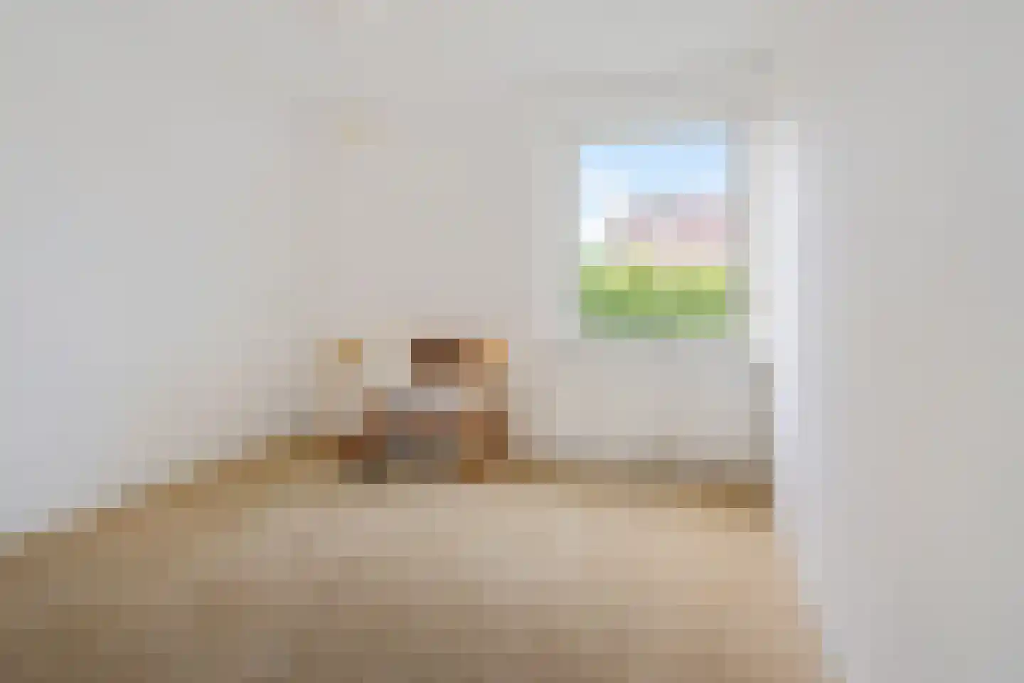 Demmerskamp 28 Enschede thumbnail 33