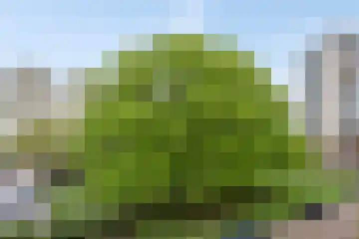 Demostheneslaan 13 's-Hertogenbosch thumbnail 11