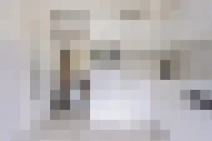 Demostheneslaan 13 's-Hertogenbosch thumbnail 12
