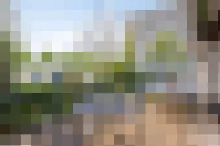 Demostheneslaan 13 's-Hertogenbosch thumbnail 13