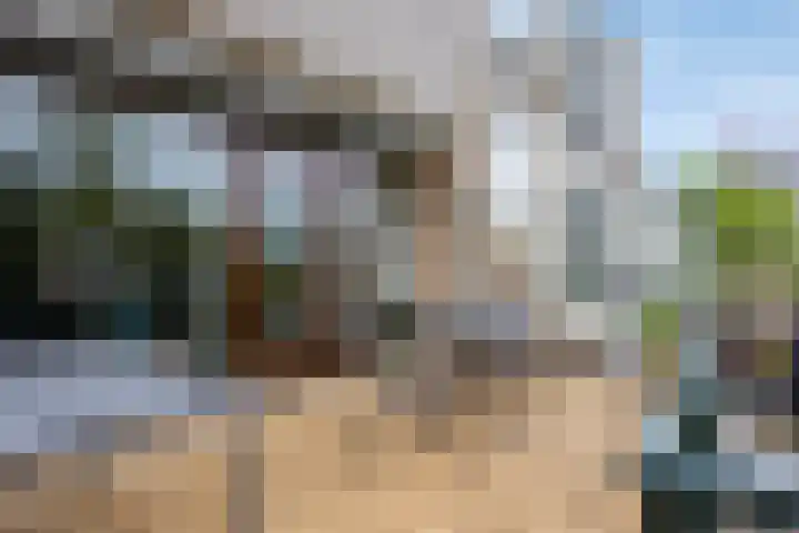 Demostheneslaan 13 's-Hertogenbosch thumbnail 14