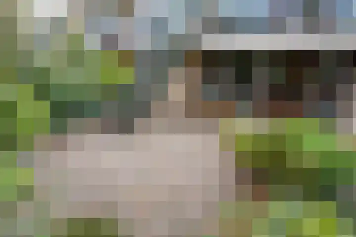 Demostheneslaan 13 's-Hertogenbosch thumbnail 16