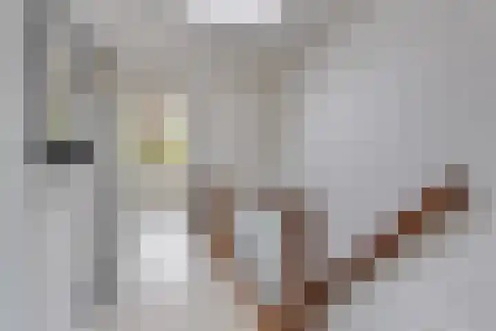 Demostheneslaan 13 's-Hertogenbosch thumbnail 23