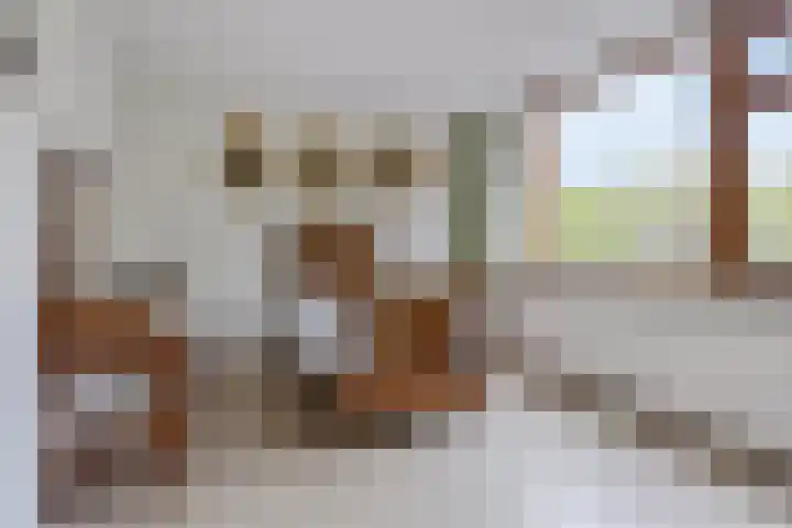 Demostheneslaan 13 's-Hertogenbosch thumbnail 24