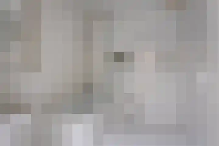 Demostheneslaan 13 's-Hertogenbosch thumbnail 31