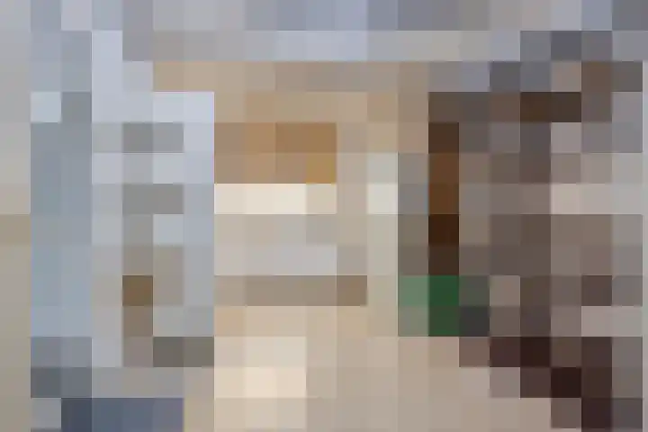 Demostheneslaan 13 's-Hertogenbosch thumbnail 33