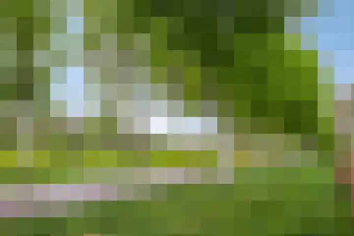 Demostheneslaan 13 's-Hertogenbosch thumbnail 36