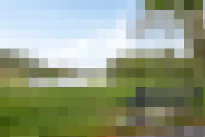 Demostheneslaan 13 's-Hertogenbosch thumbnail 37