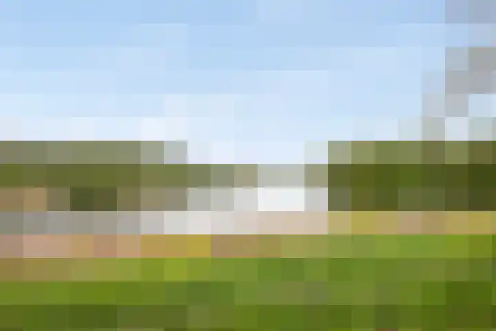 Demostheneslaan 13 's-Hertogenbosch thumbnail 38