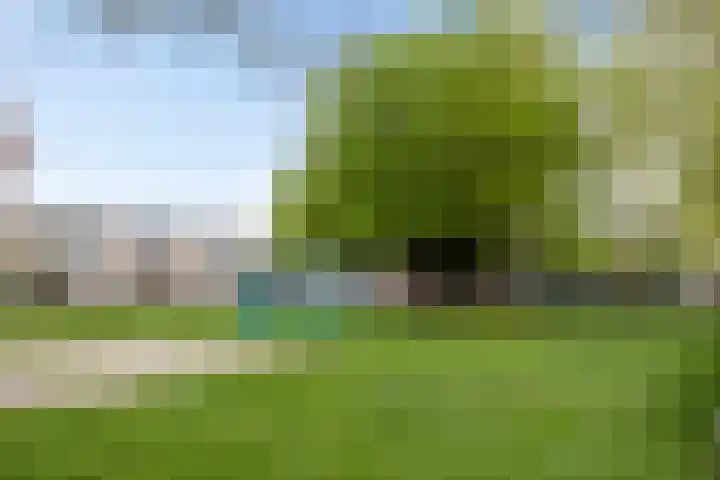 Demostheneslaan 13 's-Hertogenbosch thumbnail 39