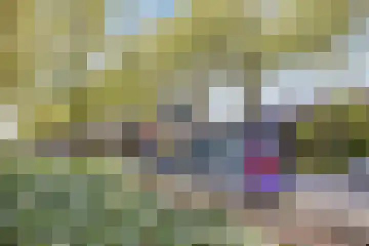 Demostheneslaan 13 's-Hertogenbosch thumbnail 40