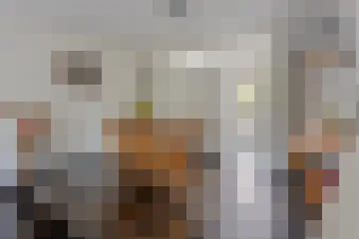 Demostheneslaan 13 's-Hertogenbosch thumbnail 8