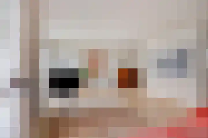 Demostheneslaan 17 's-Hertogenbosch thumbnail 12