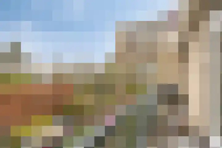 Demostheneslaan 17 's-Hertogenbosch thumbnail 18