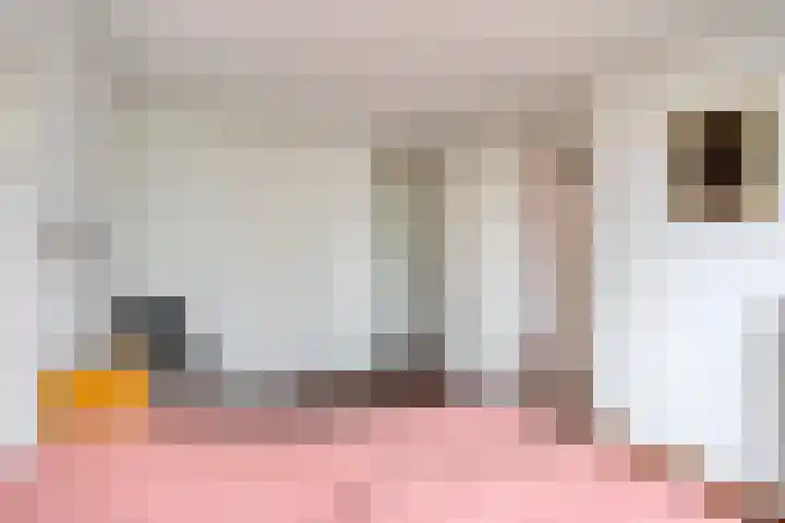 Demostheneslaan 17 's-Hertogenbosch thumbnail 22